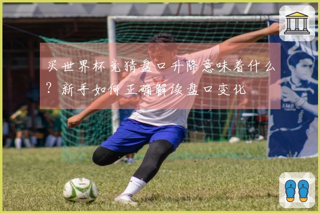 买世界杯竞猜盘口升降意味着什么？新手如何正确解读盘口变化