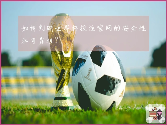 如何判断世界杯投注官网的安全性和可靠性？