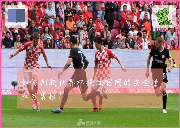 如何判断世界杯投注官网的安全性和可靠性？