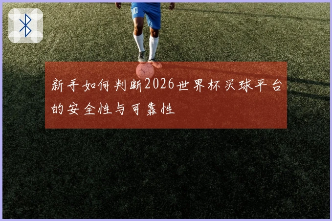 新手如何判断2026世界杯买球平台的安全性与可靠性
