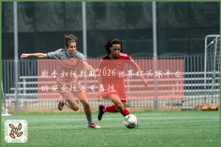 新手如何判断2026世界杯买球平台的安全性与可靠性