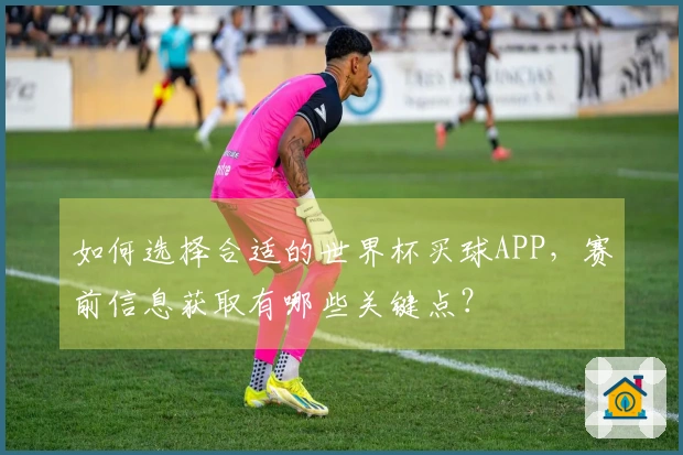 如何选择合适的世界杯买球APP，赛前信息获取有哪些关键点？