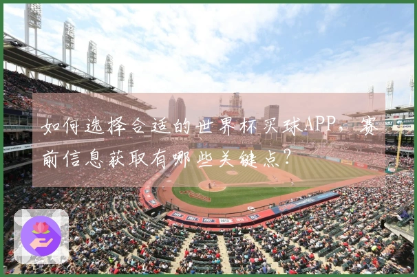 如何选择合适的世界杯买球APP，赛前信息获取有哪些关键点？