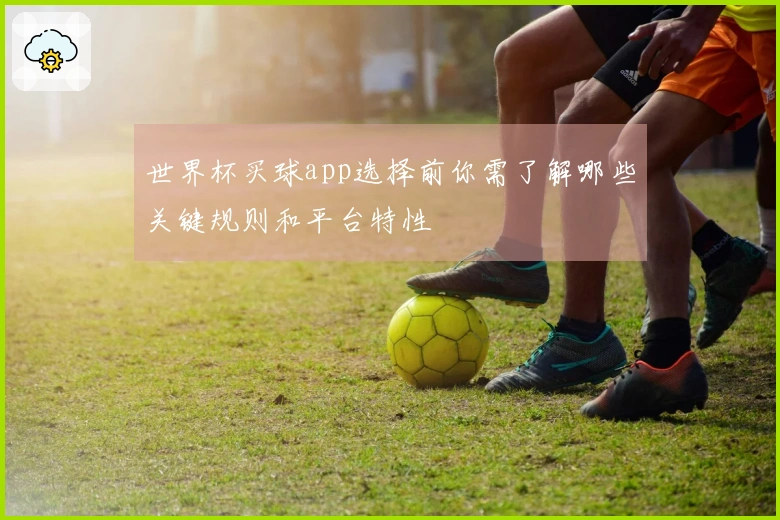 世界杯买球app选择前你需了解哪些关键规则和平台特性